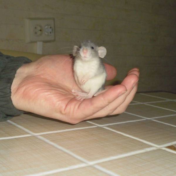 daily picdump 90 pics 40.html - 90 HD Photos | Premium Gallery 2017