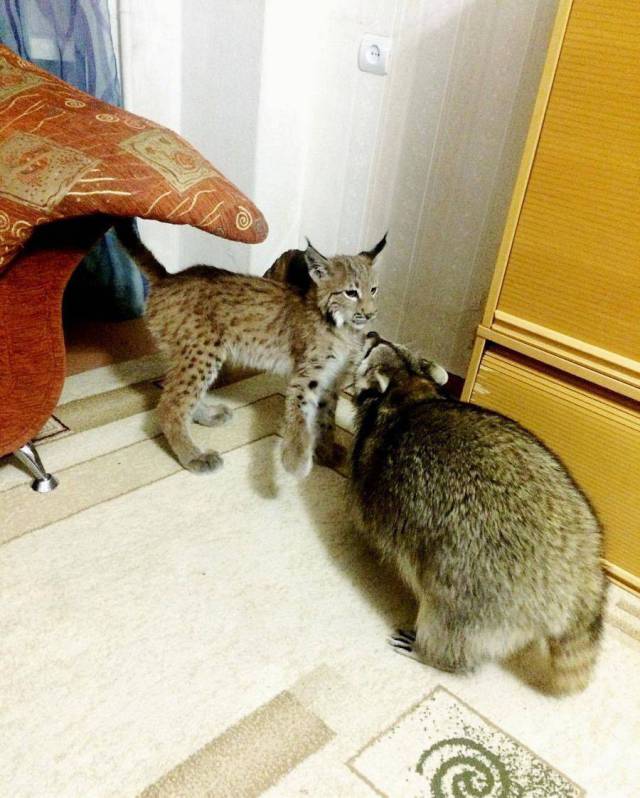 daily picdump 90 pics 40.html - 90 HD Photos | Premium Gallery 2017