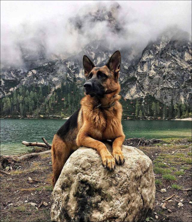 daily picdump 90 pics 40.html - 90 HD Photos | Premium Gallery 2017