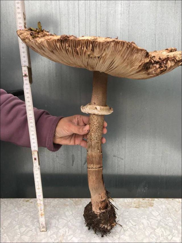 daily picdump 90 pics 40.html - 90 HD Photos | Premium Gallery 2017