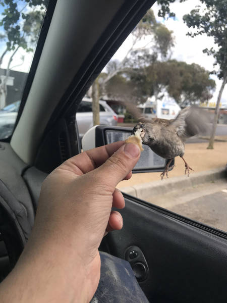 morning picdump 51 pics 18.html - 51 HD Photos | Premium Gallery 2017