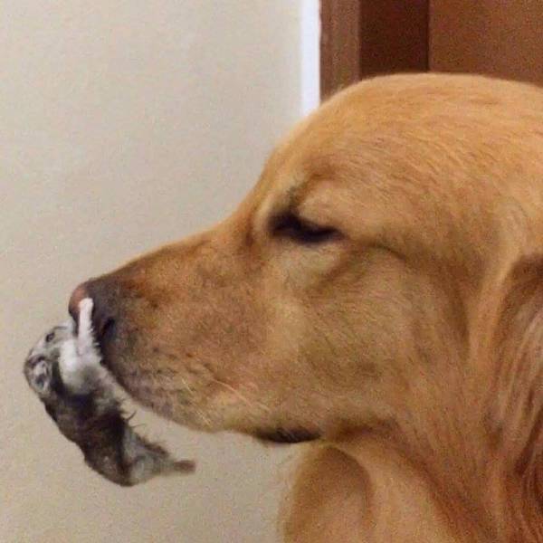 morning picdump 51 pics 18.html - 51 HD Photos | Premium Gallery 2017