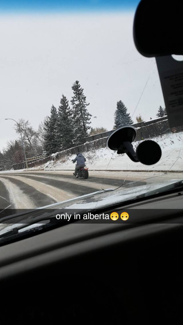 morning picdump 51 pics 18.html - 51 HD Photos | Premium Gallery 2017