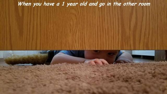 Daily Picdump [WEEKEND EDITION]