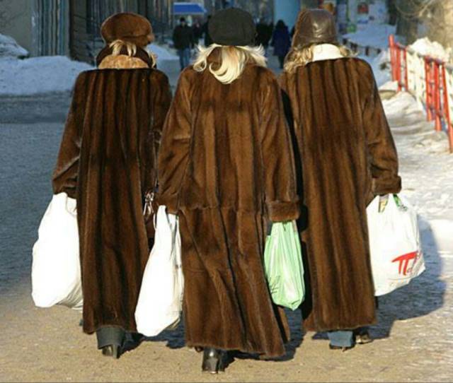 daily picdump weekend edition 66 pics 2.html - 66 HD Photos | Premium Gallery 2017