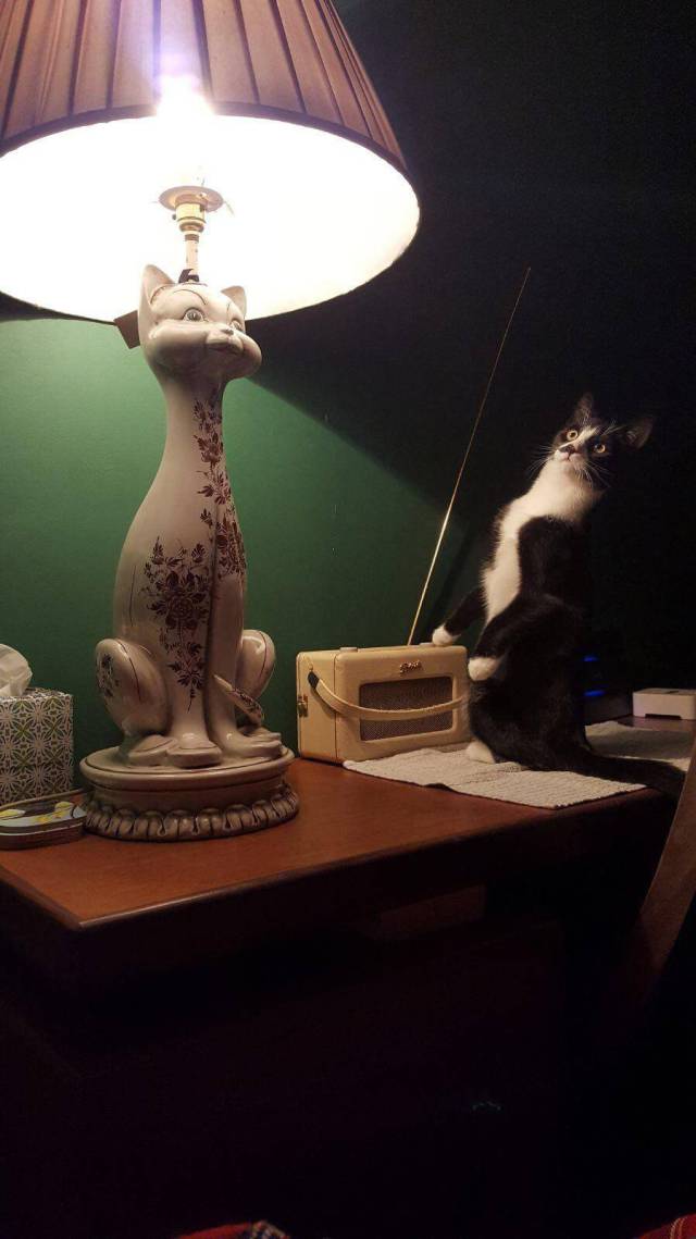 daily picdump weekend edition 66 pics 2.html - 66 HD Photos | Premium Gallery 2017