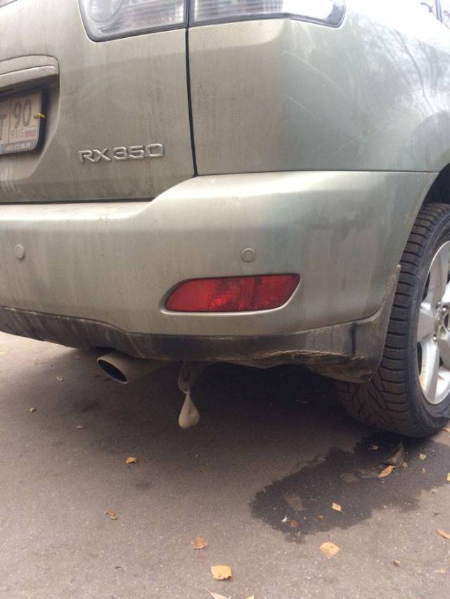 daily picdump weekend edition 66 pics 2.html - 66 HD Photos | Premium Gallery 2017