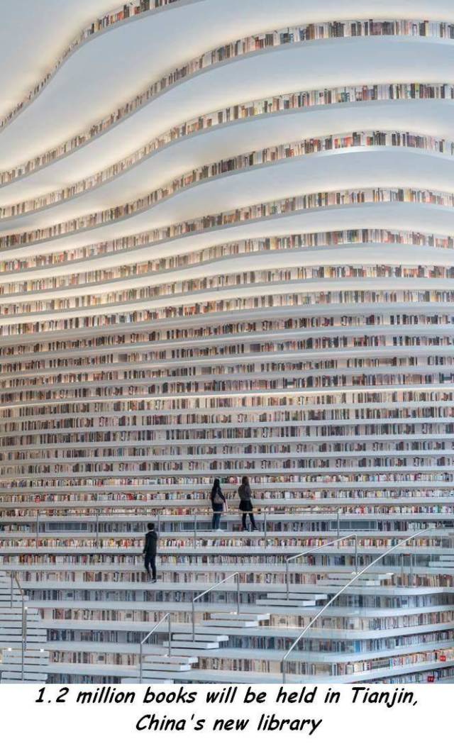 daily picdump weekend edition 66 pics 2.html - 66 HD Photos | Premium Gallery 2017