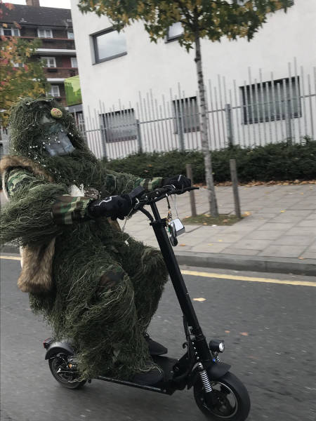 daily picdump 80 pics 2.html - 80 HD Photos | Premium Gallery 2017