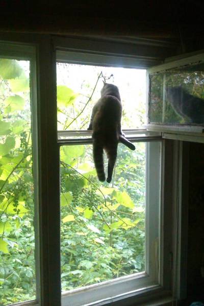 daily picdump 80 pics 2.html - 80 HD Photos | Premium Gallery 2017