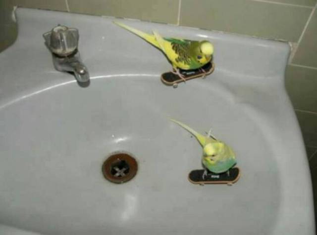 daily picdump 80 pics 2.html - 80 HD Photos | Premium Gallery 2017