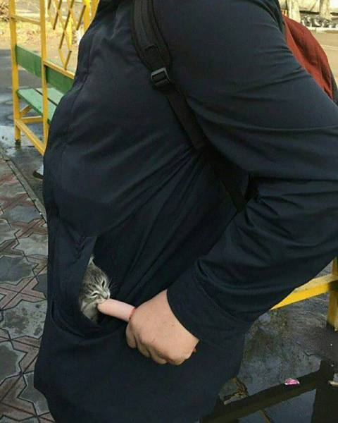 daily picdump 80 pics 2.html - 80 HD Photos | Premium Gallery 2017