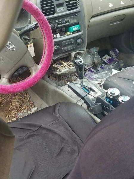 daily picdump 80 pics 2.html - 80 HD Photos | Premium Gallery 2017