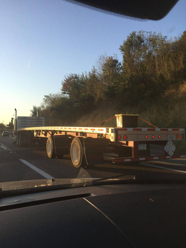 daily picdump 80 pics 2.html - 80 HD Photos | Premium Gallery 2017