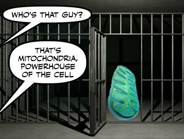 funny picdump 50 pics 4.html - 50 HD Photos | Premium Gallery 2017