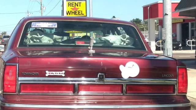 daily picdump 80 pics 15.html - 80 HD Photos | Premium Gallery 2017