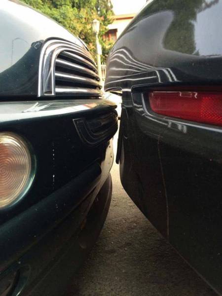 daily picdump 80 pics 15.html - 80 HD Photos | Premium Gallery 2017