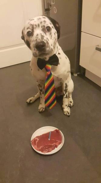 daily picdump 80 pics 15.html - 80 HD Photos | Premium Gallery 2017