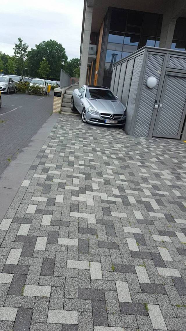 daily picdump 80 pics 15.html - 80 HD Photos | Premium Gallery 2017