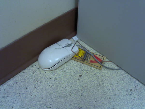 funny picdump 50 pics 9.html - 50 HD Photos | Premium Gallery 2017