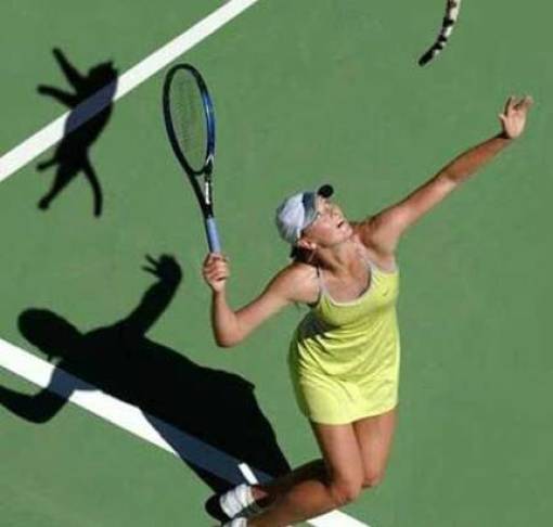 funny picdump 50 pics 9.html - 50 HD Photos | Premium Gallery 2017