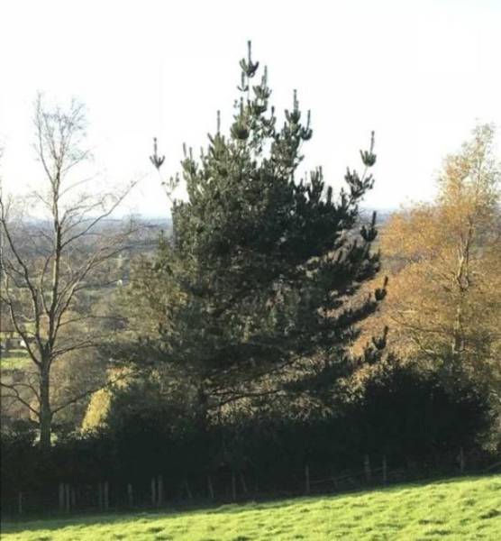 morning picdump 50 pics 21.html - 50 HD Photos | Premium Gallery 2017