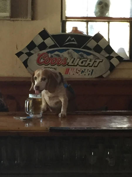 morning picdump 50 pics 21.html - 50 HD Photos | Premium Gallery 2017