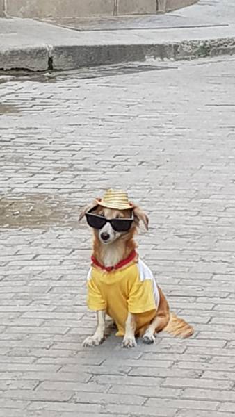 morning picdump 50 pics 21.html - 50 HD Photos | Premium Gallery 2017