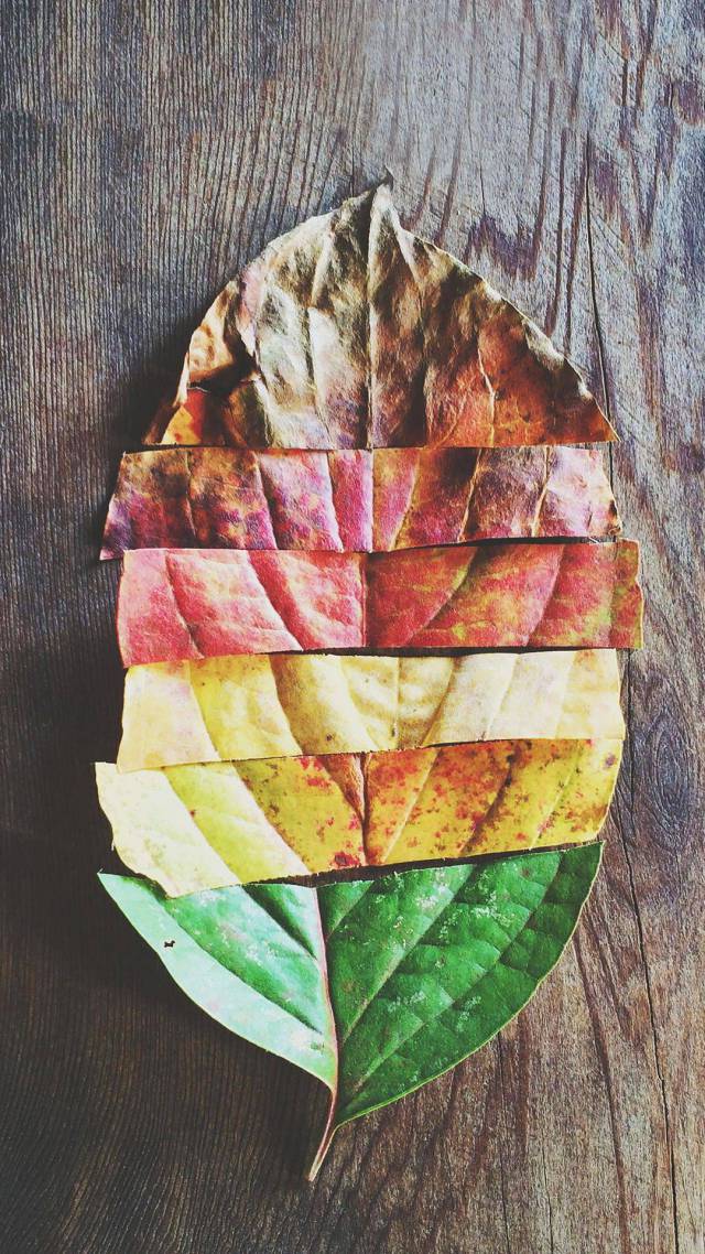 morning picdump 50 pics 21.html - 50 HD Photos | Premium Gallery 2017