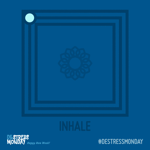 Breathing With These GIFs Will Help You Relax