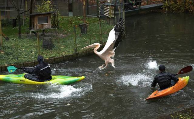 daily picdump 80 pics 15.html - 80 HD Photos | Premium Gallery 2017