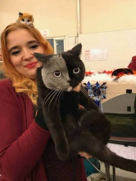 daily picdump 80 pics 15.html - 80 HD Photos | Premium Gallery 2017