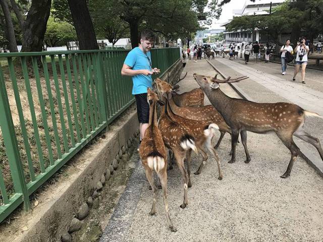 daily picdump 80 pics 15.html - 80 HD Photos | Premium Gallery 2017