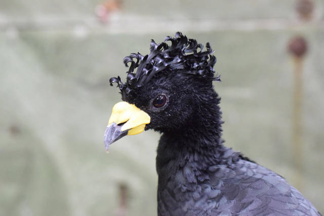 morning picdump 51 pics 6.html - 51 HD Photos | Premium Gallery 2017