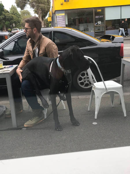 morning picdump 51 pics 6.html - 51 HD Photos | Premium Gallery 2017