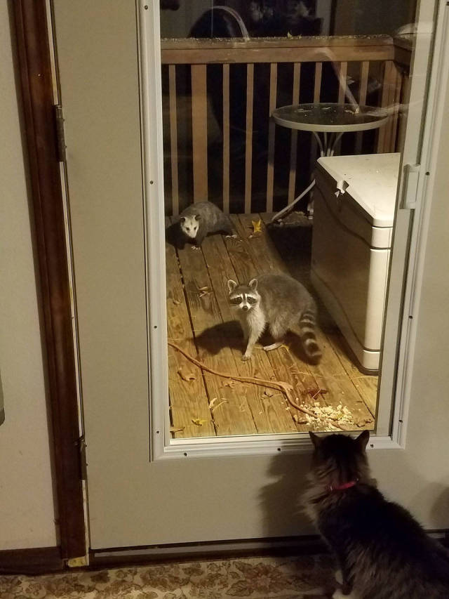 morning picdump 51 pics 6.html - 51 HD Photos | Premium Gallery 2017