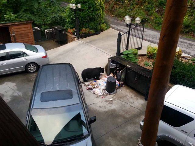 daily picdump 80 pics 14.html - 80 HD Photos | Premium Gallery 2017