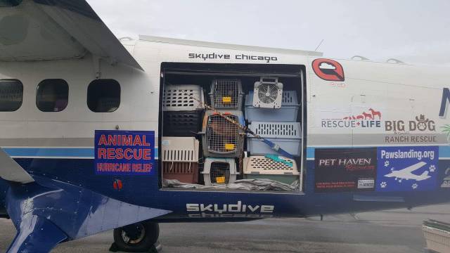 daily picdump 80 pics 14.html - 80 HD Photos | Premium Gallery 2017