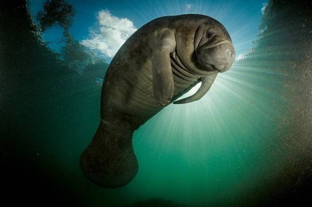 daily picdump 80 pics 14.html - 80 HD Photos | Premium Gallery 2017