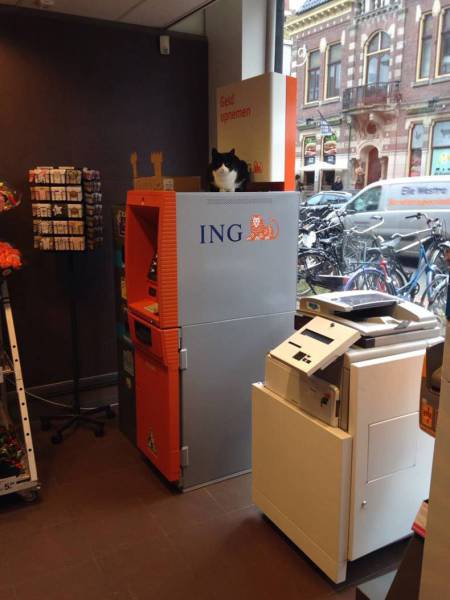 daily picdump 80 pics 14.html - 80 HD Photos | Premium Gallery 2017