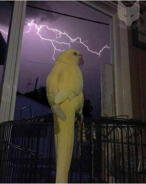 morning picdump 50 pics 19.html - 50 HD Photos | Premium Gallery 2017