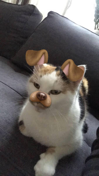 morning picdump 50 pics 7.html - 50 HD Photos | Premium Gallery 2017