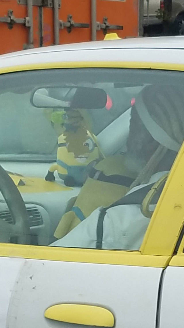 morning picdump 50 pics 7.html - 50 HD Photos | Premium Gallery 2017