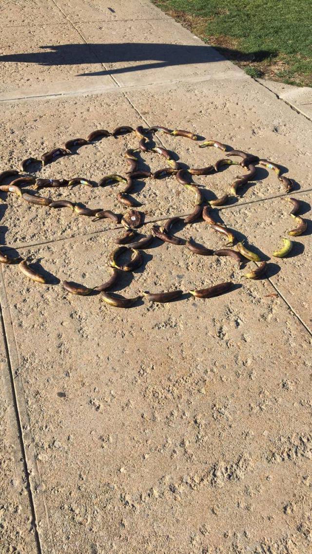 morning picdump 50 pics 7.html - 50 HD Photos | Premium Gallery 2017