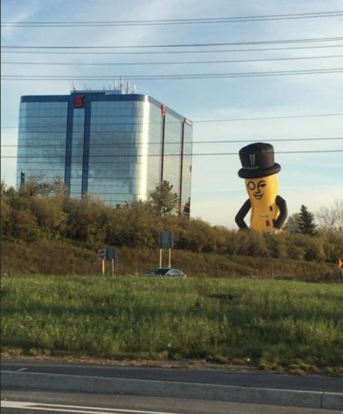 daily picdump 80 pics 35.html - 80 HD Photos | Premium Gallery 2017