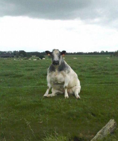 daily picdump 80 pics 35.html - 80 HD Photos | Premium Gallery 2017