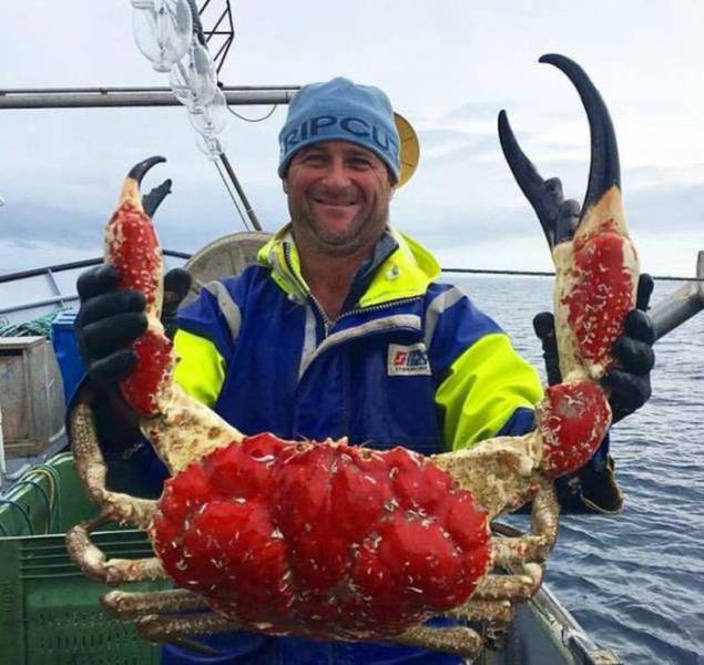 daily picdump 80 pics 35.html - 80 HD Photos | Premium Gallery 2017