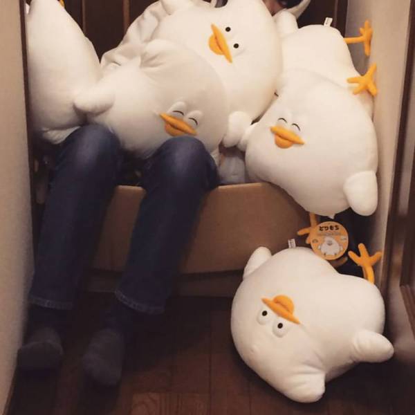 daily picdump 80 pics 35.html - 80 HD Photos | Premium Gallery 2017