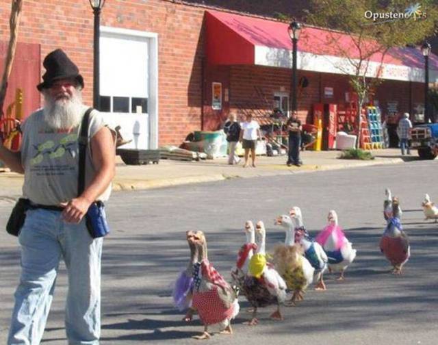 daily picdump 80 pics 35.html - 80 HD Photos | Premium Gallery 2017