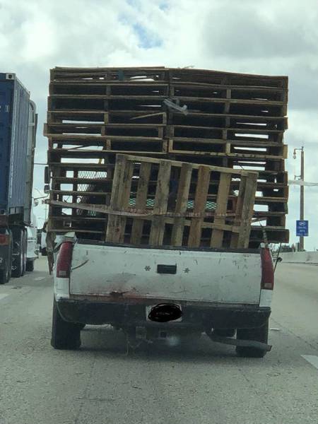 daily picdump 80 pics 35.html - 80 HD Photos | Premium Gallery 2017